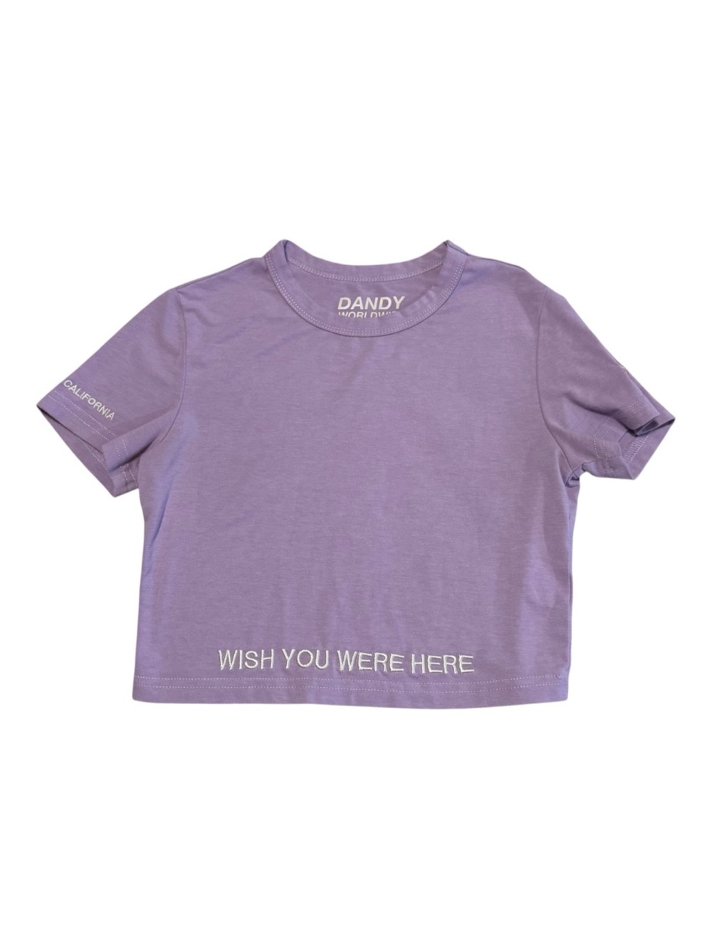 Dandy Worldwide Lavender "Wish You Were Here" Cropped T-Shirt - Super Rare